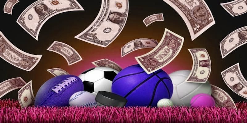 Vì sao B-sports tại x5bet trở thành lựa chọn hàng đầu?