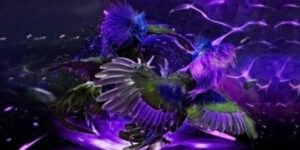 Lý Do Đá Gà WS168 Tại x5bet Được Yêu Thích